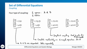 DESB - 3.2. Coupling (18')