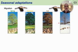 06 - Introduction to Seasonal Rhythms.mp4