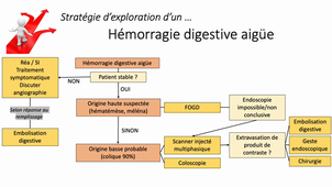 Imagerie abdomen pelvis - Hémorragie digestive