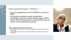 Organisation des soins psychiatriques aux personnes détenues : niveau 1 et 2