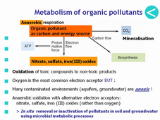 the genomics of bioremediation : Microbial muck-eaters