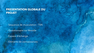 TC_SCHNOEBELEN_Nicolas_Livrable3.mp4