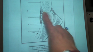 UE 2.1 - Mouvement Corporel - Séance 4