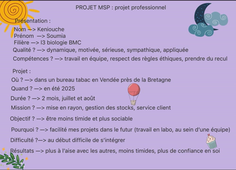 Projet_MSP_Keniouche_Soumia