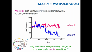 The nitrogen cycle (cont'd)