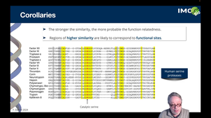 2.1  Sequence comparison: general aspects