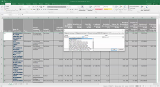 Excel. Ordonner & filtrer