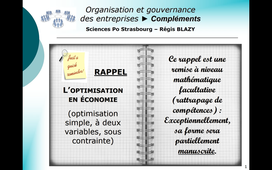 OrgGouv-Soutien-Optimisation.mp4