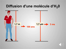 Introduction aux Grandes Fonctions Physiologiques