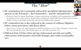 MIPLM22 29/01 AM Industry Standards and IP Aeur 