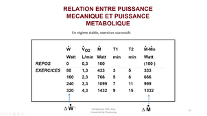 UE4 bioénergétique partie 2