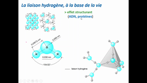 Environnement et Ecologie L1S2 -  L'eau comme ressource à la vie