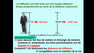 Transferts membranaires 1