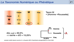 Module 21 - Systematique 2b - Taxonomie Numerique.mp4