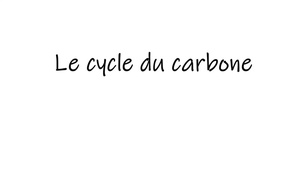Le cycle du carbone - les réservoirs