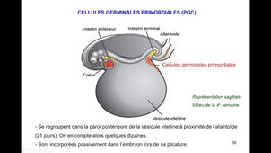 8eHeure-L1SpS-Derives des feuillets