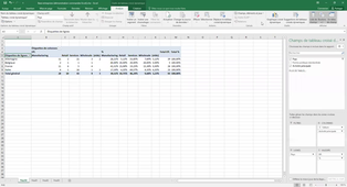 10 & 11. Créer un tableau croisé sur Excel avec 2 ou 3 variables