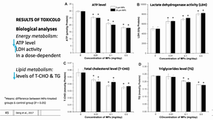 Part1MPGeneralities.mp4