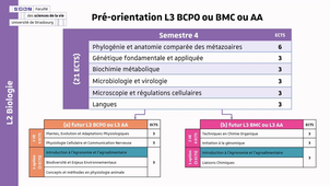 Parcours_L2_Biologie.mp4