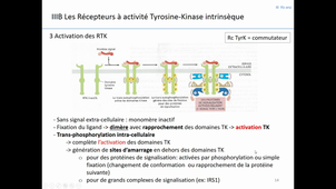 Communication cellulaire 3