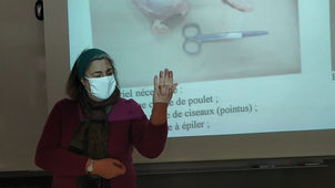 UE 2.1 - Mouvement Corporel - Séance 2