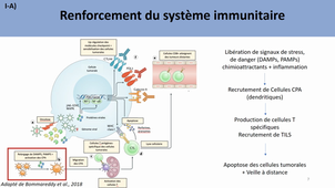 Virus Oncolytiques