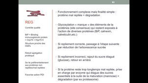 UE5 - Biologie cellulaire - Réticulum endoplasmique