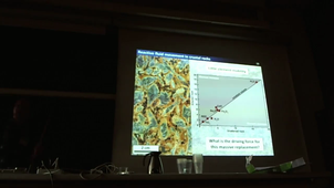  Nanoscale transient porosity controls large-scale reactive fluid flow - by Oliver Pluemper, Department of Earth Sciences, Utrecht University, Keynote speaker