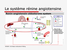 Cibles médicaments Billing Partie 1