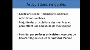 UE4 anatomie générale ARTICULATIONS