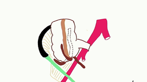 UE2 AN9-AN10 Intestin grêle - Gros intestin