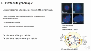 Virus Oncogènes