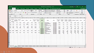 MSP-STAGE-Louis COLLART-L3CB.mp4