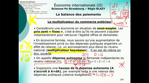 Economie internationale - Régis Blazy Sciences Po Strasbourg, vidéo#6 (pp.201-FIN)