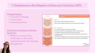 Vidéo MSP-expérience personnelle Julia JUND