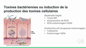 Lien Bactéries et Cancers