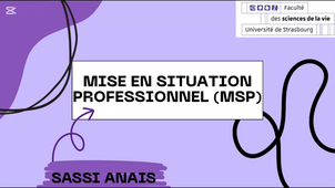 MSP SASSI Anais