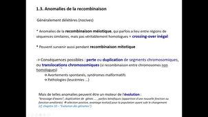 BG Chapitres 3,4 Réparation/recombinaison de l'ADN