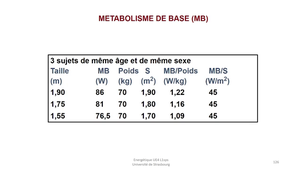 UE4 bioénergétique partie 3