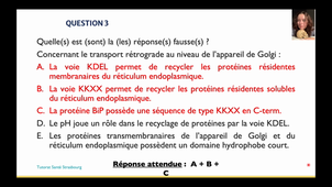 Séance LSpS : UE3 Séance 2