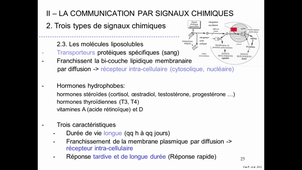2bc17/18 Beau-Faller