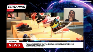 TEAM9.Puma.innovation.management.mp4