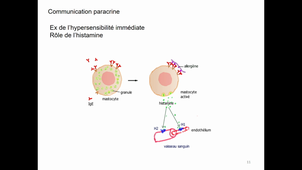 Communication cellulaire 1