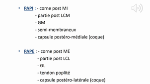 Cours n°6A : Entorse genou Pr M. Ehlinger  .mp4