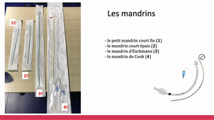 Intubation normale (Helms)
