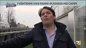 Business nei campi