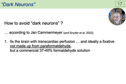 03 - Classical Staining Techniques - Dark Neurons.mp4
