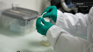 UNISTRA_Albupad_202404.mp4