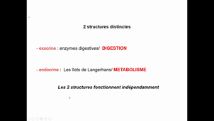 Endocrinologie - Partie 5 - Pancréas