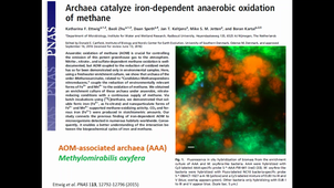 Microbial metabolism of and with metals and minerals